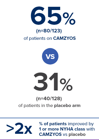 65% of patients on CAMZYOS® vs 31% of patients on placebo
